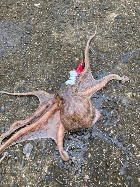 ⭐︎心地よいかをり