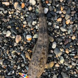 信じるか信じないかは、あなたしだい