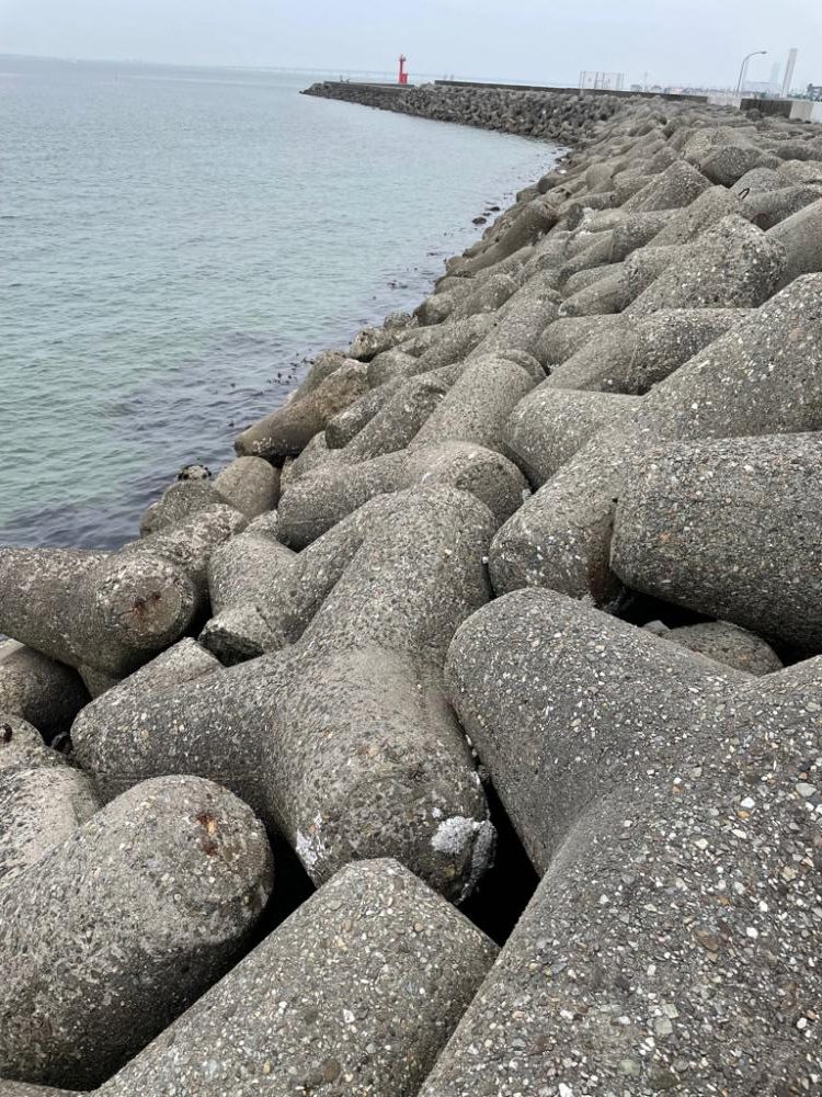 釣れるけど後が続かない