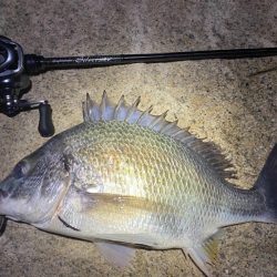 淀川ブリームゲーム