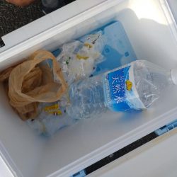 清掃活動：小潮で頑張ったタイラバ