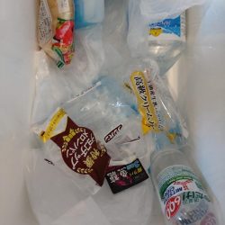 清掃活動：大爆死も何とか捻り出し