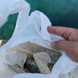 清掃活動：本命3種の欲張り釣行