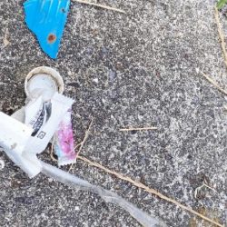 清掃活動：早朝チニング