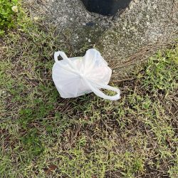 清掃活動：サビキ御三家