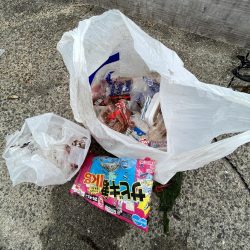 清掃活動：アジ回遊弱め