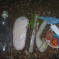 清掃活動：曇り空バス