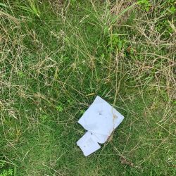 清掃活動:チニングと思いきや安定のマゴチ様…