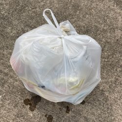 清掃活動：おチヌさん活性高いです