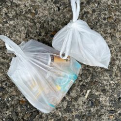 清掃活動：キス釣り