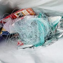 清掃活動：結局チニング