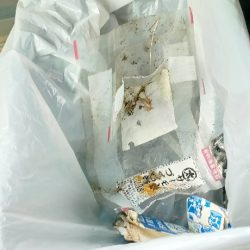 清掃活動：トップチニング