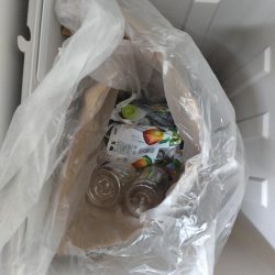 清掃活動：信頼と実績のセットアッパーで青物…