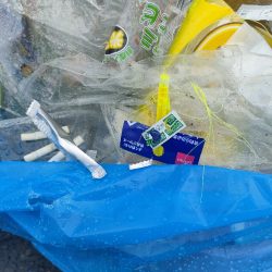 清掃活動：泉佐野ドラム缶