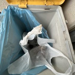 清掃活動：サビキぼちぼち