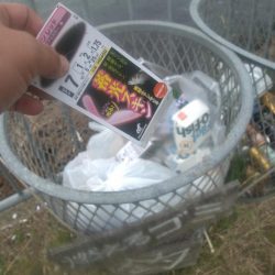 清掃活動：小潮凪