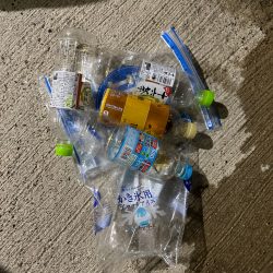 清掃活動：キス釣り