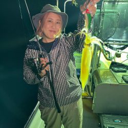 今期初イカは…