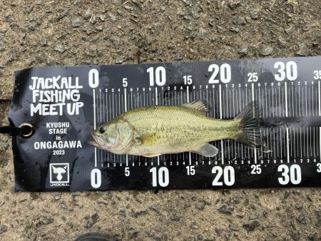 ジャッカルフィッシングミートアップ