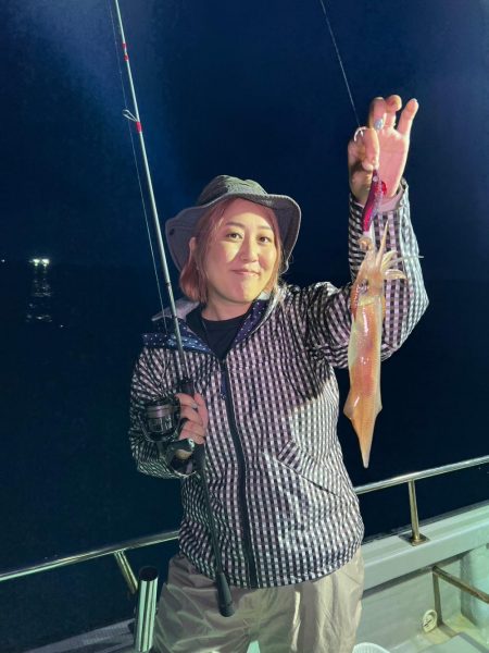 今期初イカは…