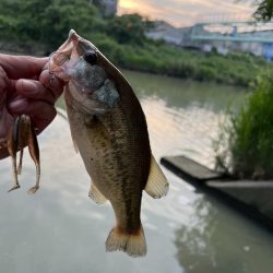 ジャッカルフィッシングミートアップ