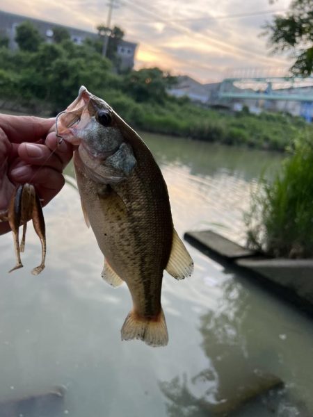 ジャッカルフィッシングミートアップ