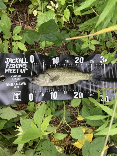 JACKALL FISHING  MEET…