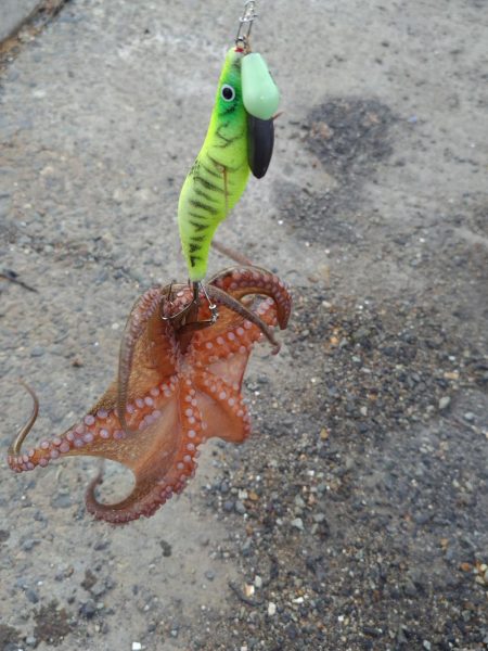 オクトパッシング