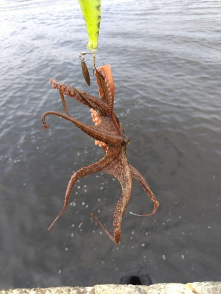 オクトパッシング