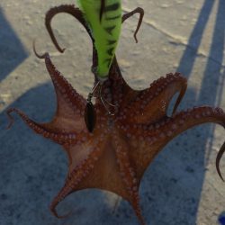 オクトパッシング