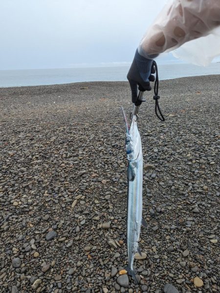 サーフでショアジギング(初投稿)