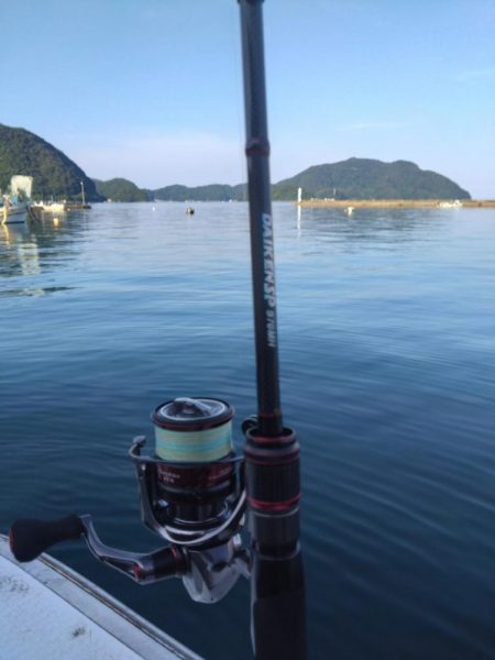 今期初イカメタル