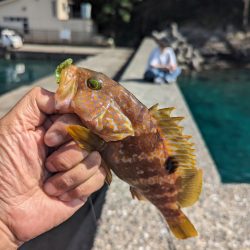 陸っぱり釣行記
