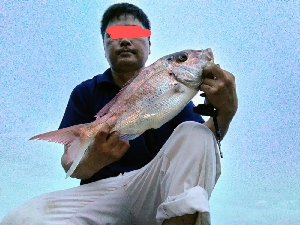 ショアから真鯛!