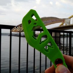 なかなか渋い　キス