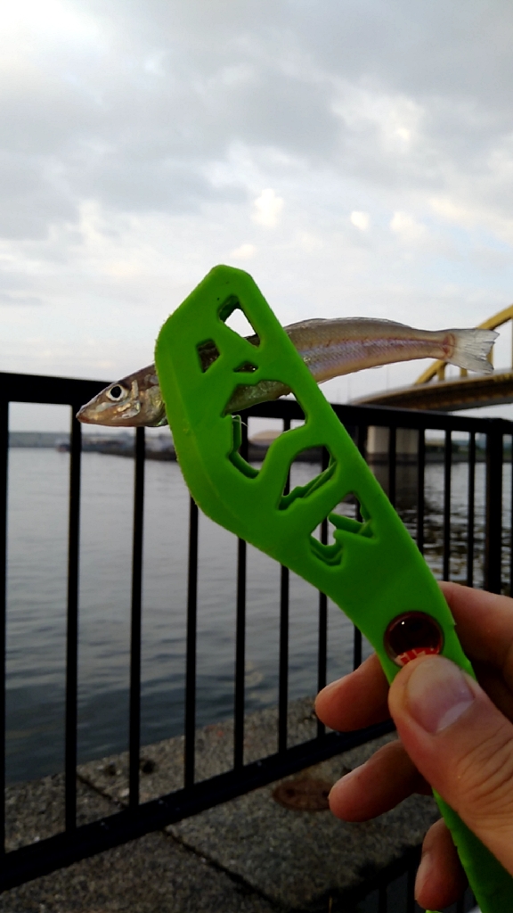 なかなか渋い キス