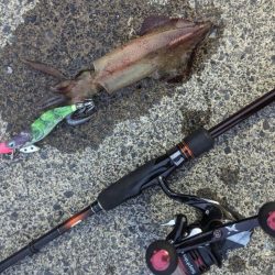 水潮のせいにしておこう