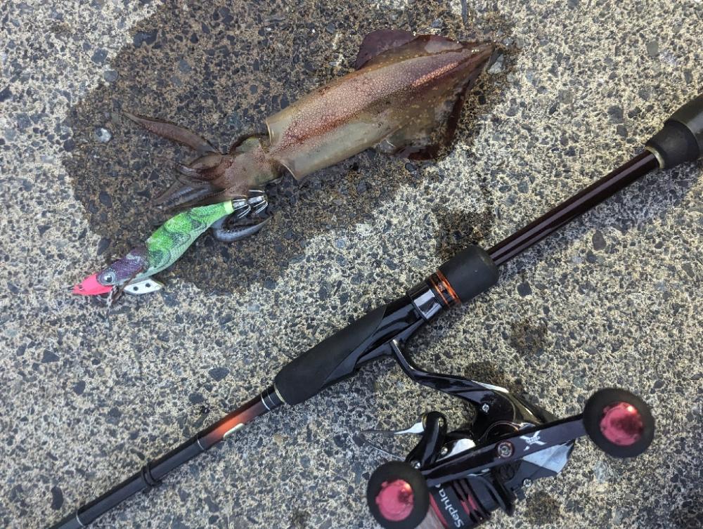 水潮のせいにしておこう