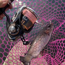 釣食浪漫 ~再びサクラマスゲットなるか!~