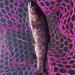 釣食浪漫 ~Just a man in love~