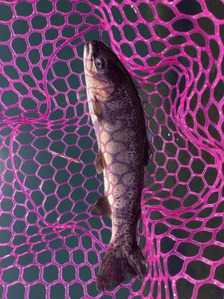 釣食浪漫 ～Just a man in l…