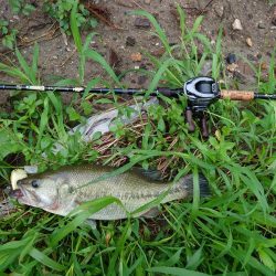 雨が振ったらデカハネ!