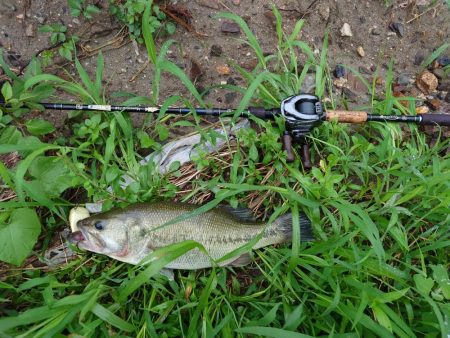 雨が振ったらデカハネ！