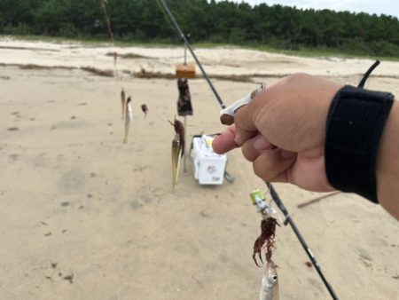 豪雨後の状況を確認したくて投げに行ってきま…