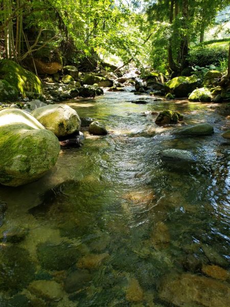 ベッピンはゲットしたが、、、