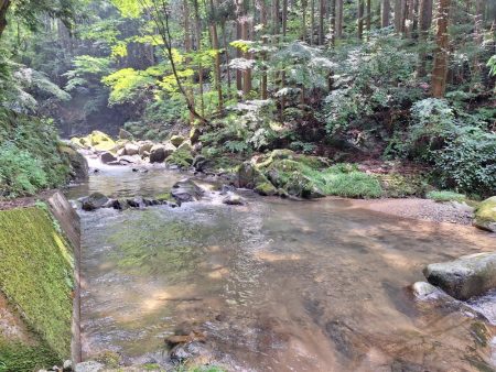 渓流管理釣り場