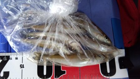 室津の投げ釣り