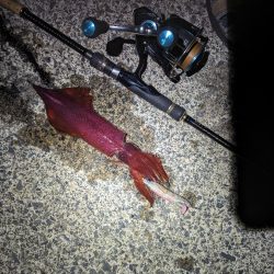 爆らない爆れないが好き