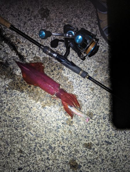 爆らない爆れないが好き