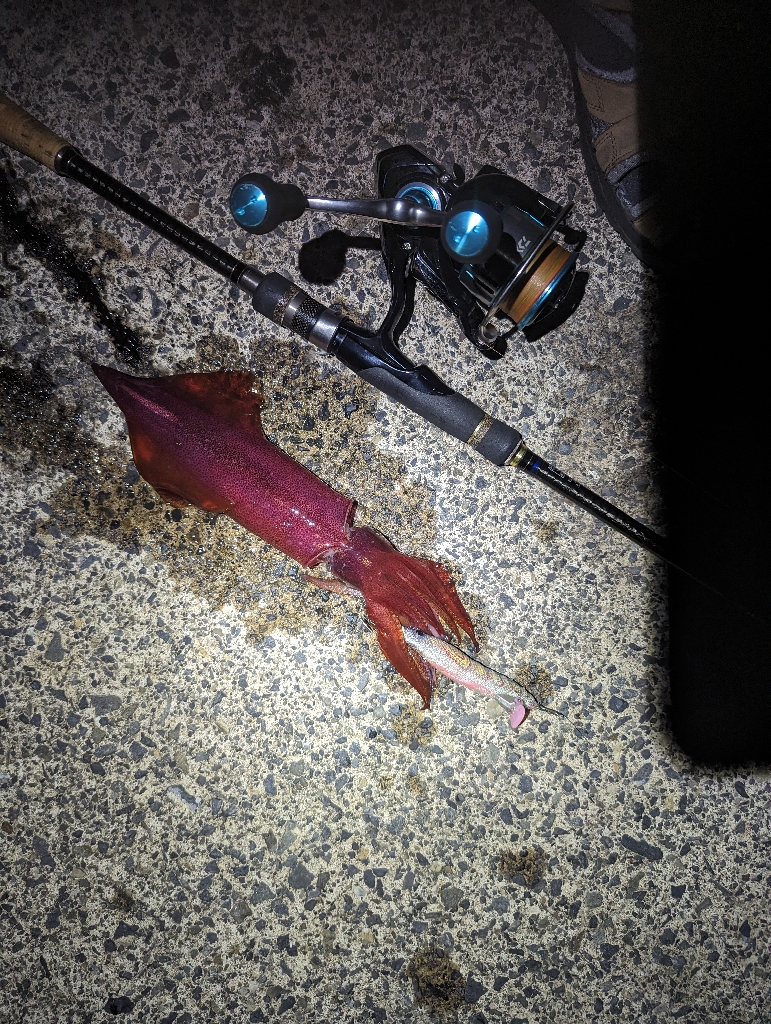 爆らない爆れないが好き